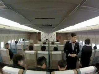 Pleasant Stewardess